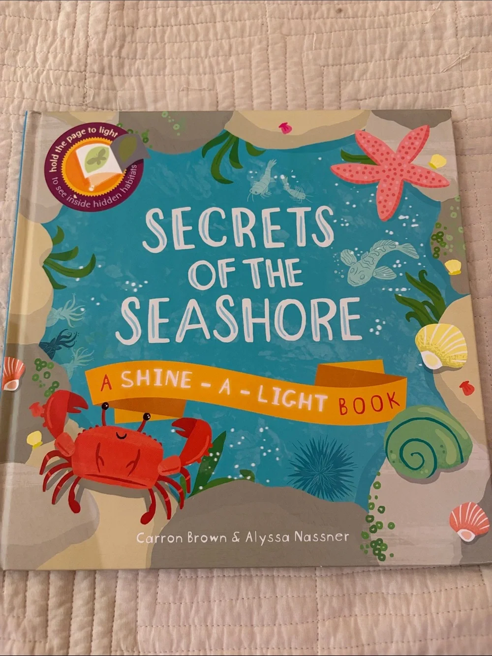 N/A secrets seashore